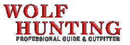 Wolf hunting in northern Alberta with Trophy Stalkers