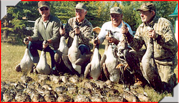 Duck and goose hunting in Alberta with Trophy Stalkers